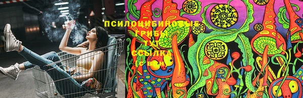 кокс Алзамай