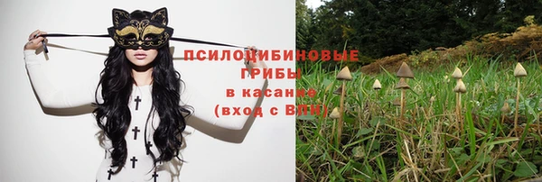кокс Алзамай