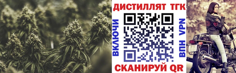 мориарти телеграм  Камышин  Дистиллят ТГК THC oil  наркота  гидра зеркало 