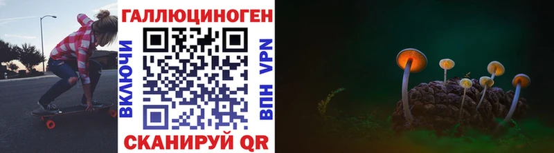 где найти   Камышин  kraken маркетплейс  Псилоцибиновые грибы Cubensis 