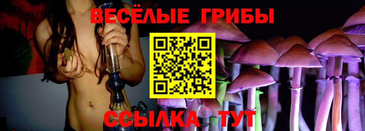 Камышин  Галлюциногенные грибы MAGIC MUSHROOMS  где купить наркоту  Вход с VPN 